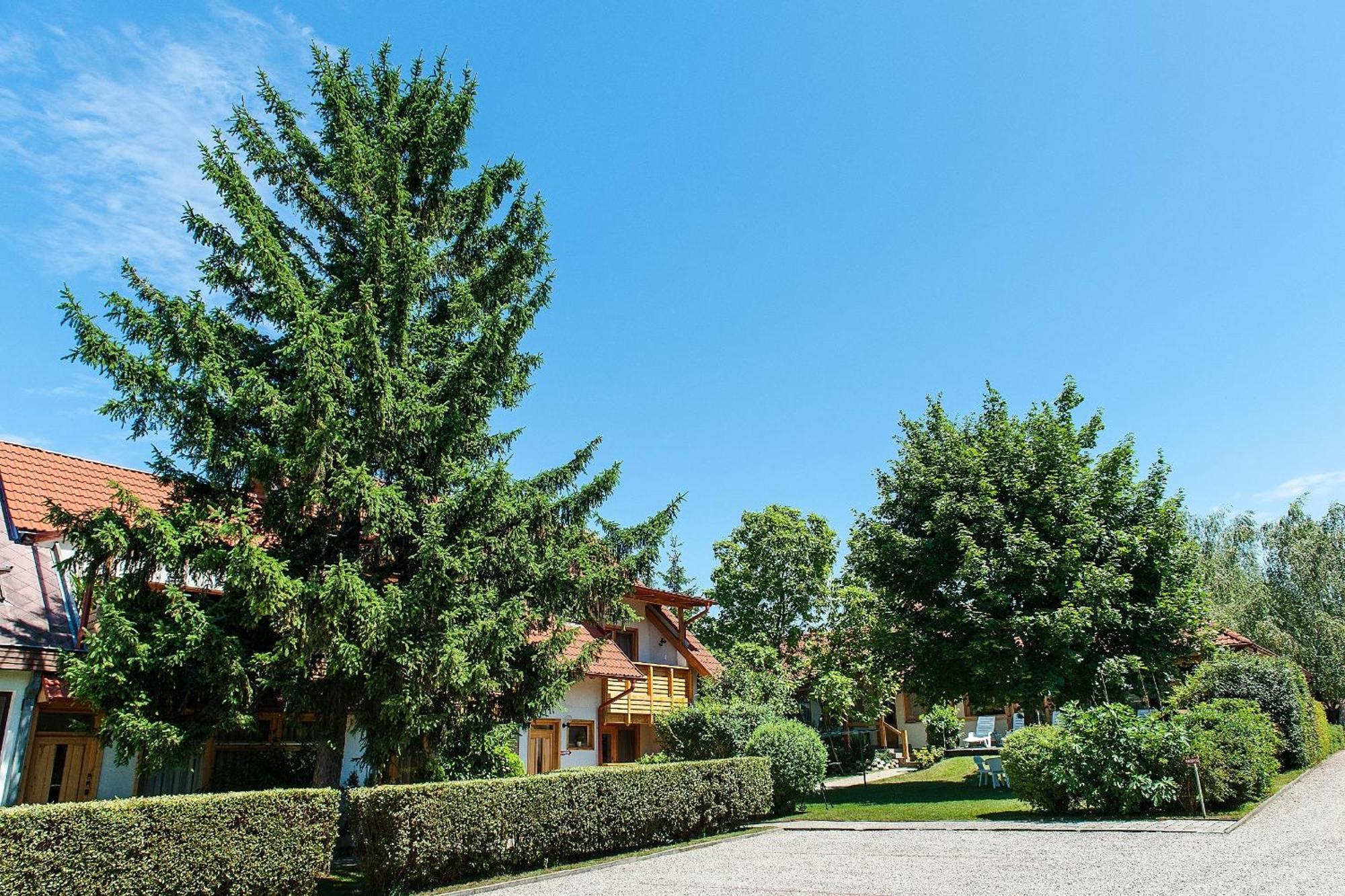 ALina Apartmanház Heviz Exterior foto